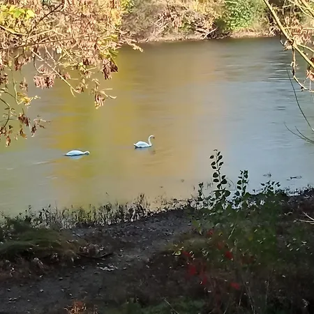 La Belle Gabarre Bed & Breakfast Groléjac