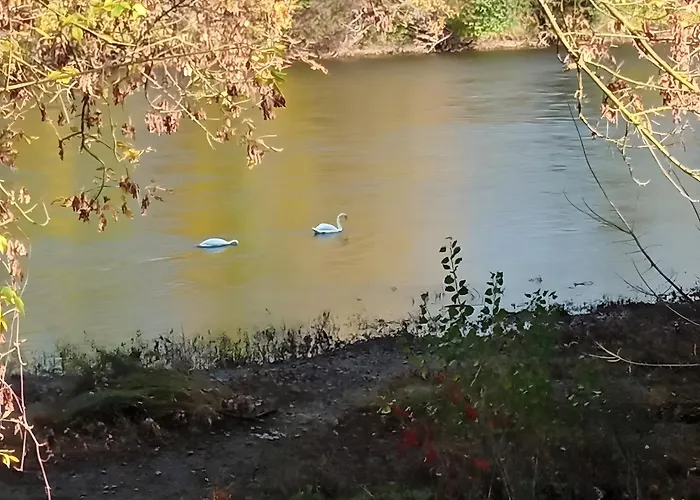 La Belle Gabarre Bed & Breakfast Groléjac