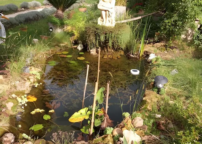 La Belle Gabarre 住宿加早餐酒店 3*