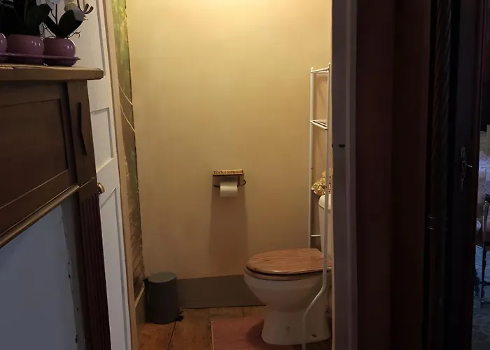 La Belle Gabarre 住宿加早餐酒店 3*